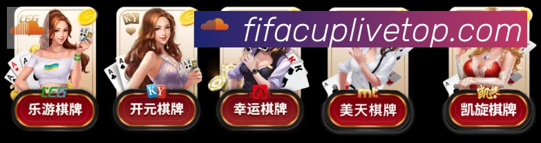 美加墨世界杯投注入口服务体系
